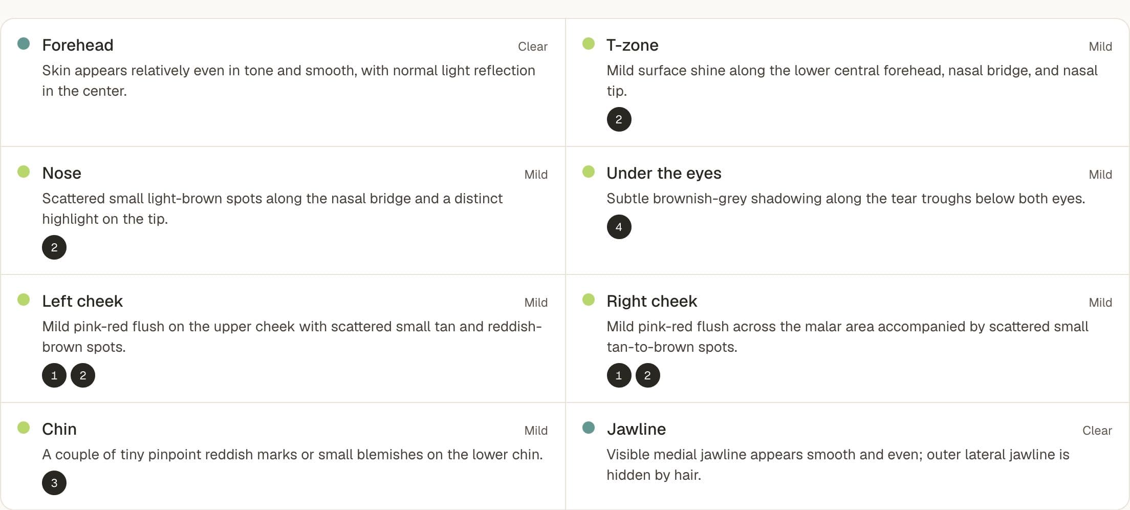 The face map: forehead clear; T-zone, nose, under the eyes, both cheeks and chin mild, each with what the photo shows there and the observations it links to